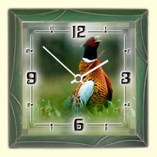 Wall clock, Birds