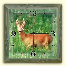 Wall clock, motive Roe Deer