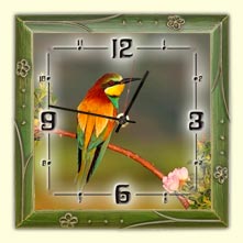 Wall clock bird