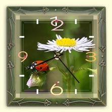 Wall clock nature